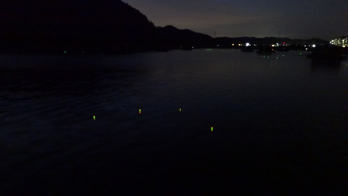 DSC08804.JPG