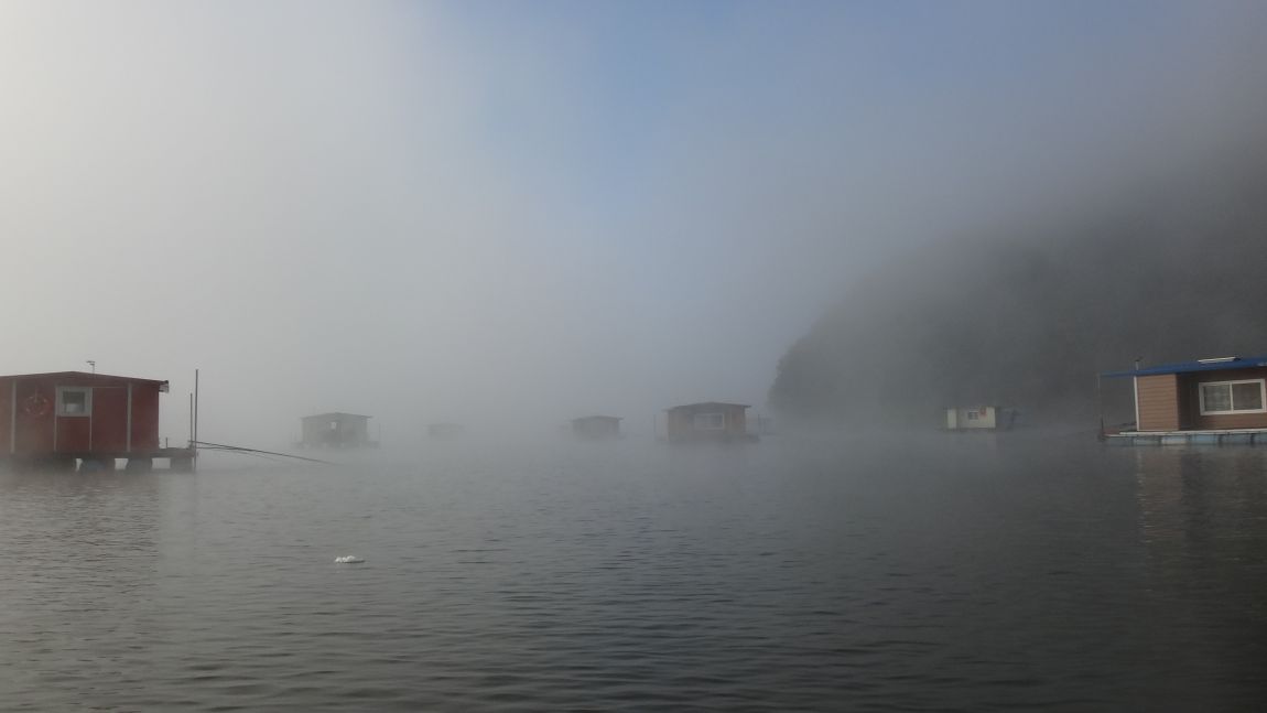 DSC08866.JPG