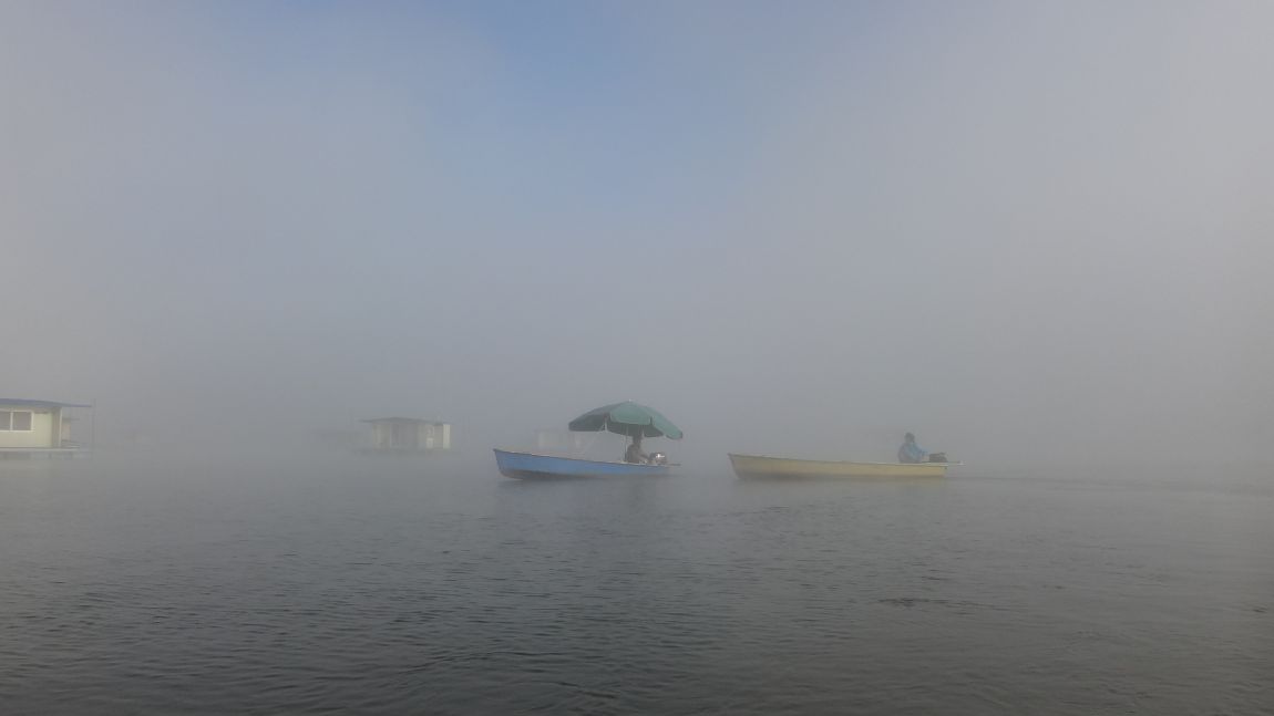 DSC08870.JPG