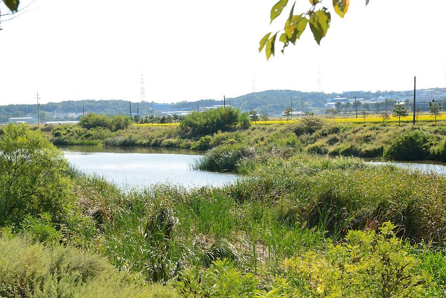 KJS_4489.jpg