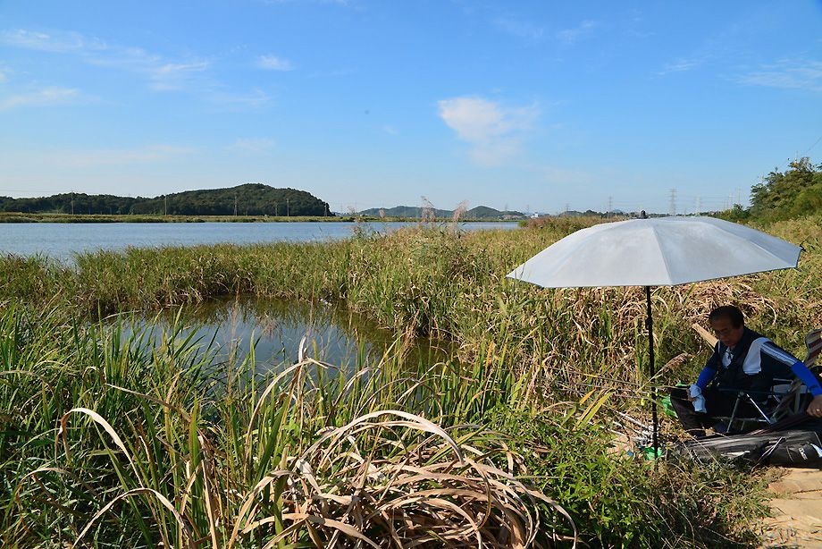 KJS_4499.jpg