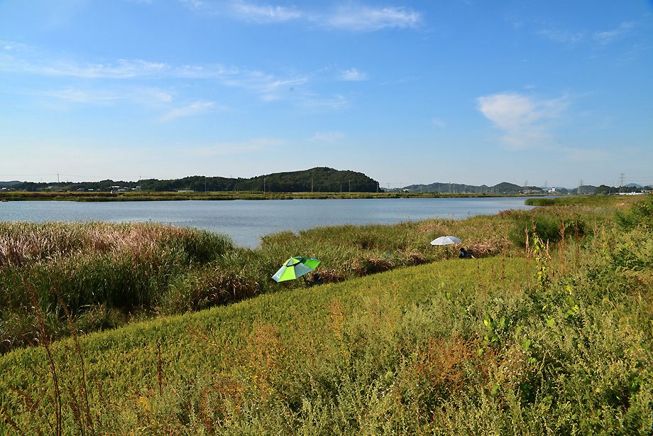 KJS_4502.jpg