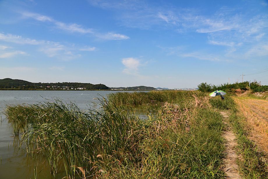 KJS_4509.jpg