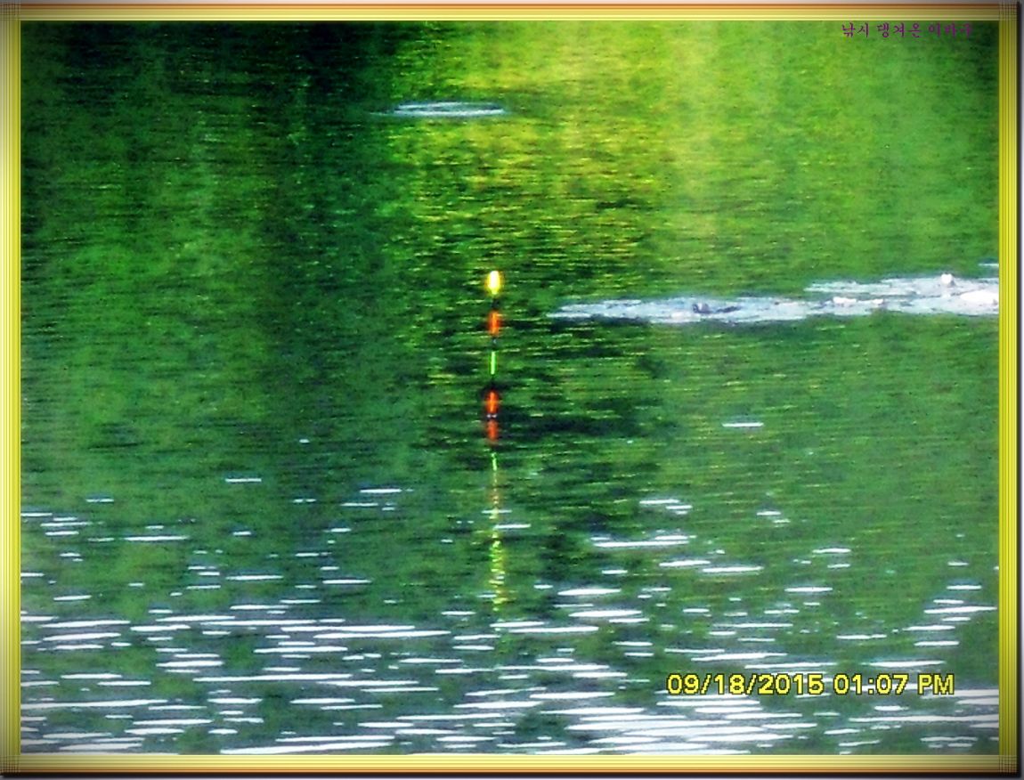 �ٹ̱�_SDC16468.jpg