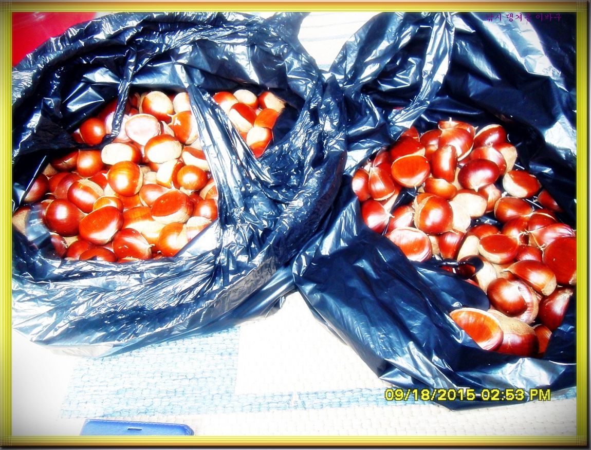 �ٹ̱�_SDC16475.jpg