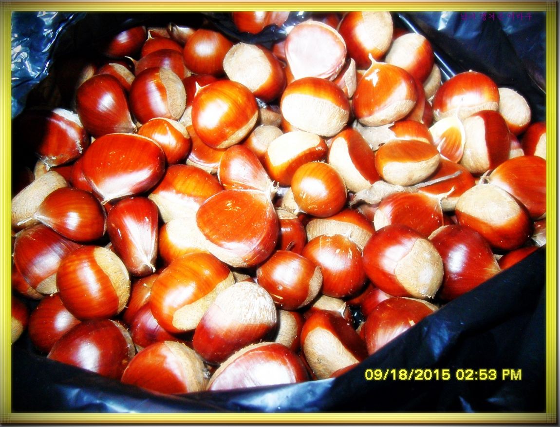 �ٹ̱�_SDC16476.jpg