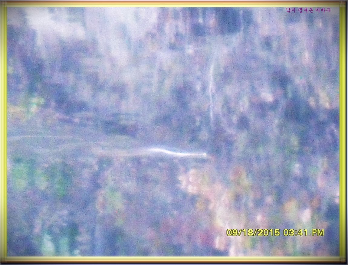 �ٹ̱�_SDC16482.jpg