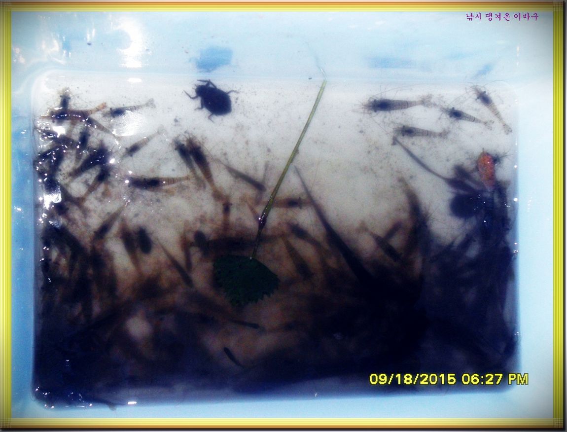 �ٹ̱�_SDC16492.jpg