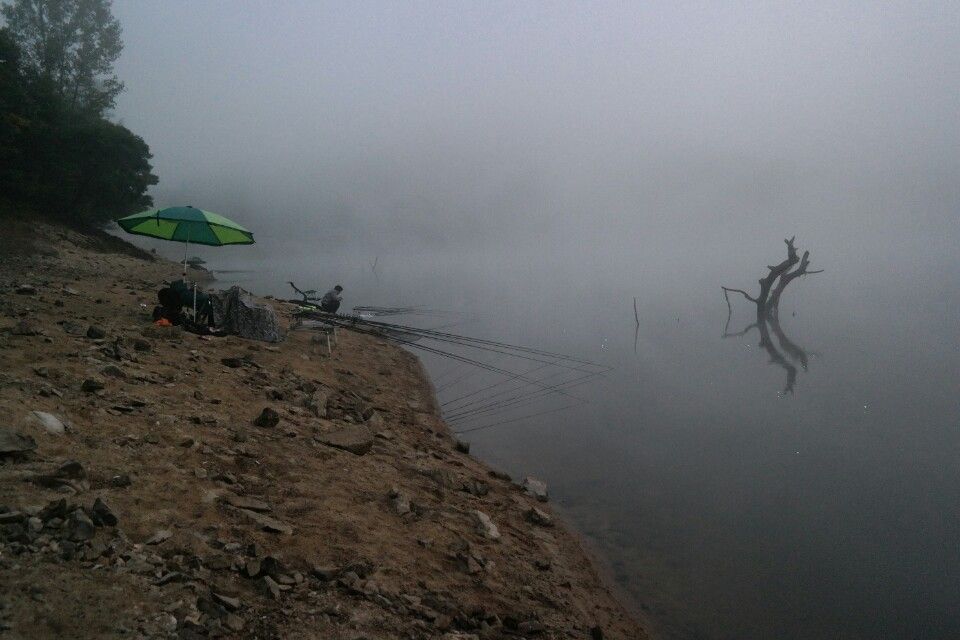 �������� ����Ʈ�� �����ϴ� ���ظ�.jpg