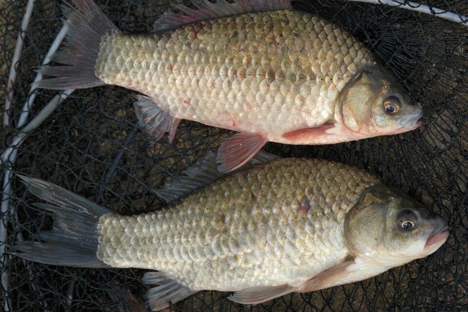 ��ȩġ 2�� �� 7ġ 2���� ���� ������.jpg