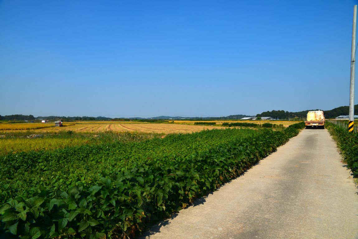 KJS_4562.jpg