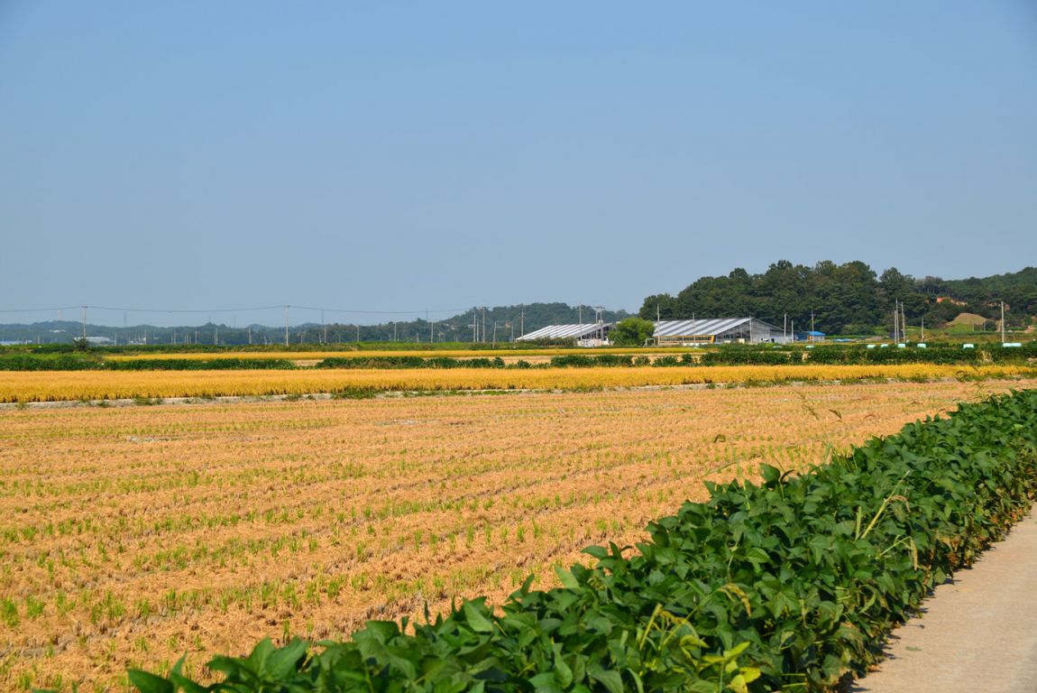 KJS_4563.jpg