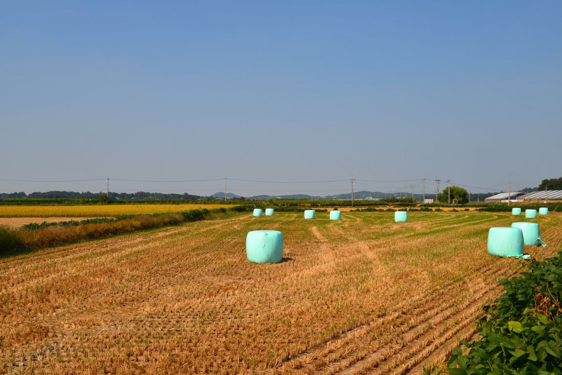 KJS_4564.jpg