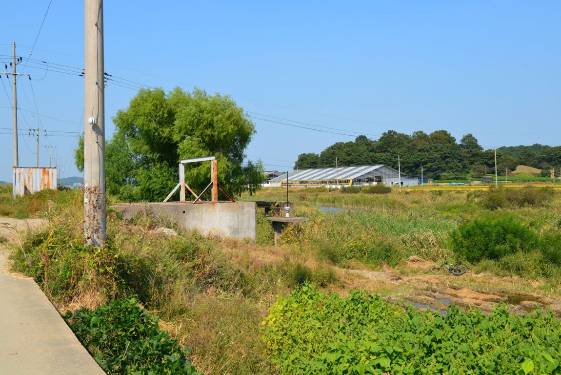 KJS_4567.jpg