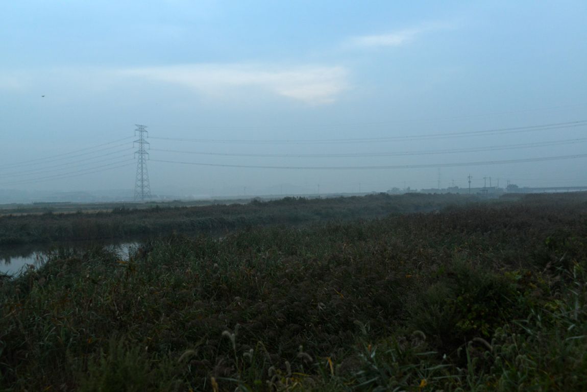 KJS_4596.jpg