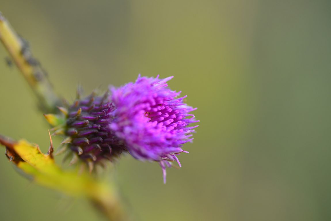 KJS_4605.jpg