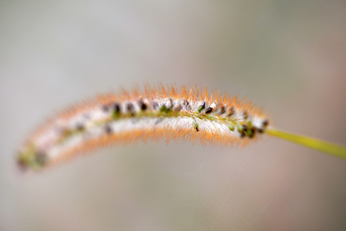 KJS_4608.jpg