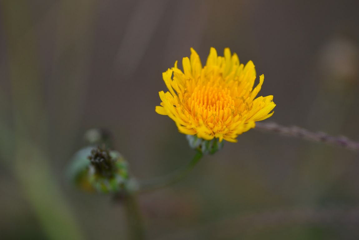 KJS_4609.jpg