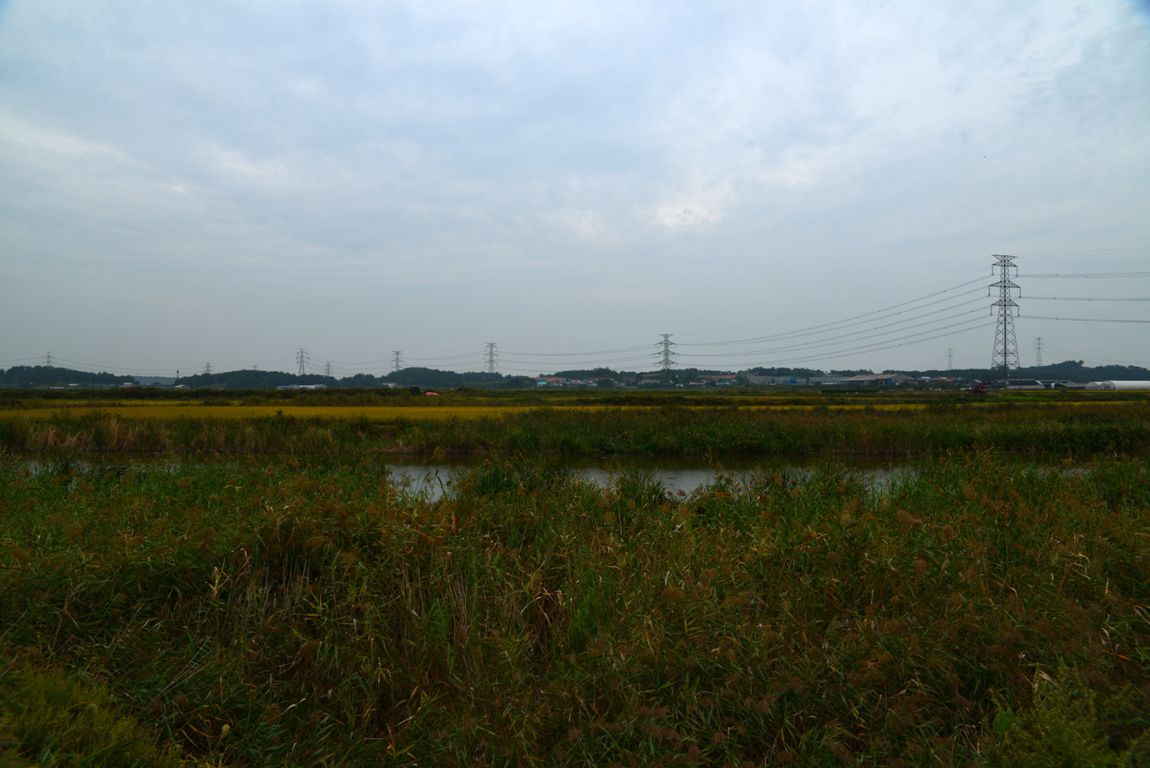 KJS_4613.jpg