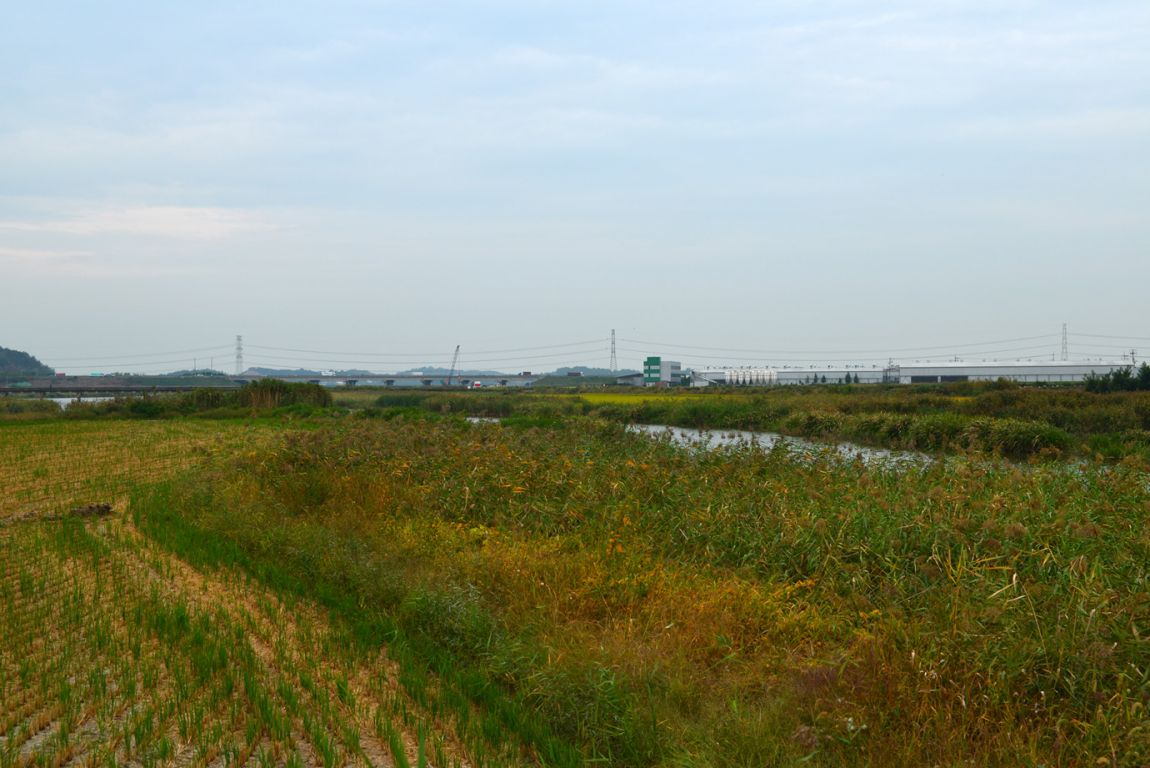 KJS_4614.jpg