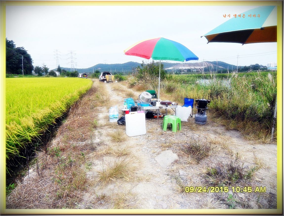 ٹ̱_SDC16657.jpg