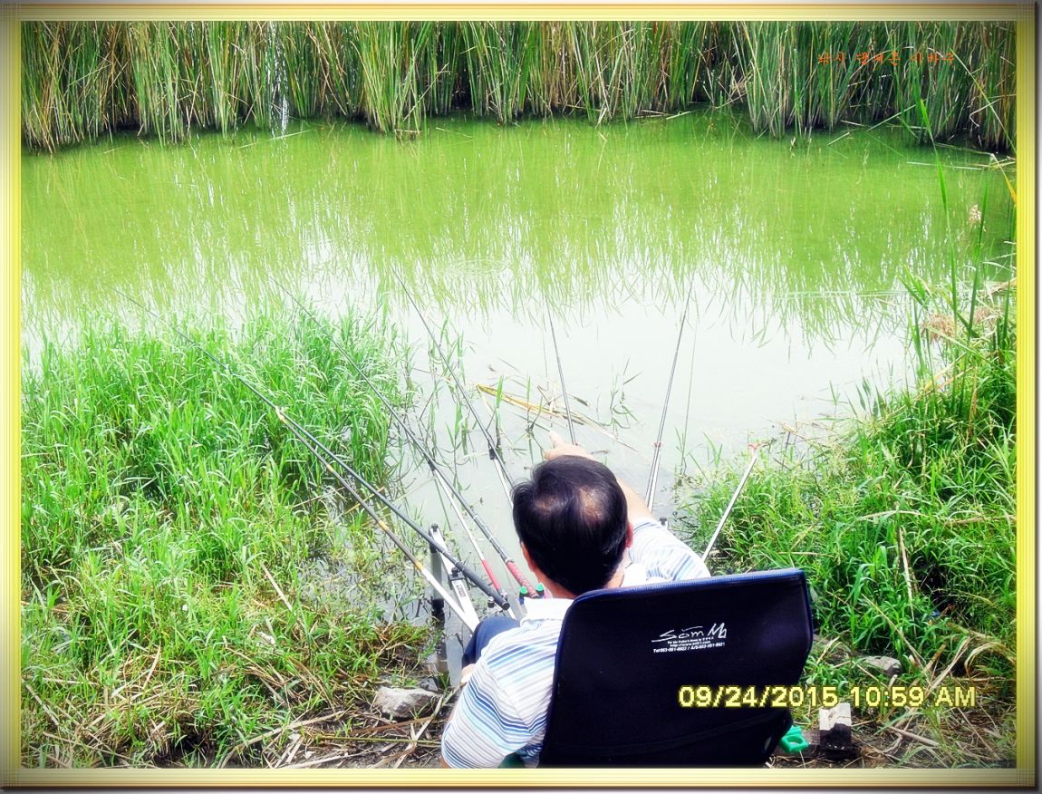 ٹ̱_SDC16660.jpg