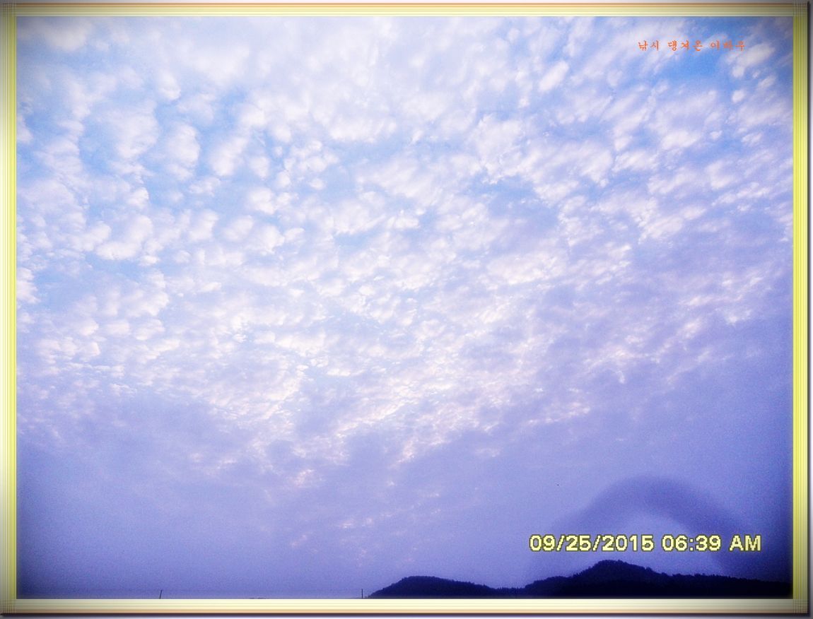 ٹ̱_SDC16684.jpg