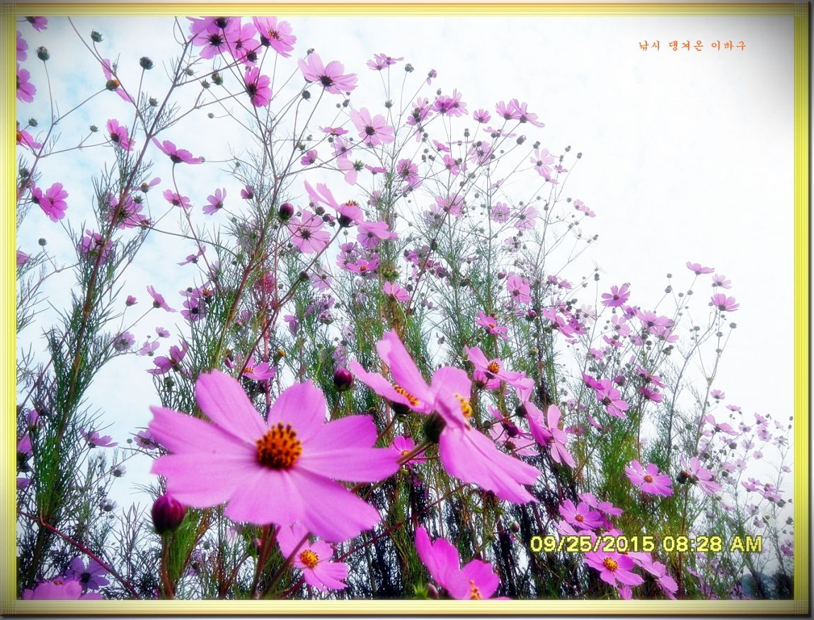 ٹ̱_SDC16691.jpg