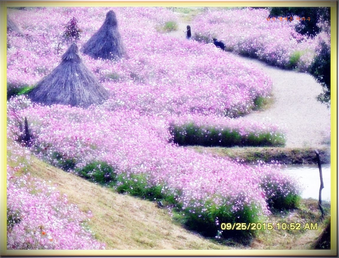 ٹ̱_SDC16711.jpg