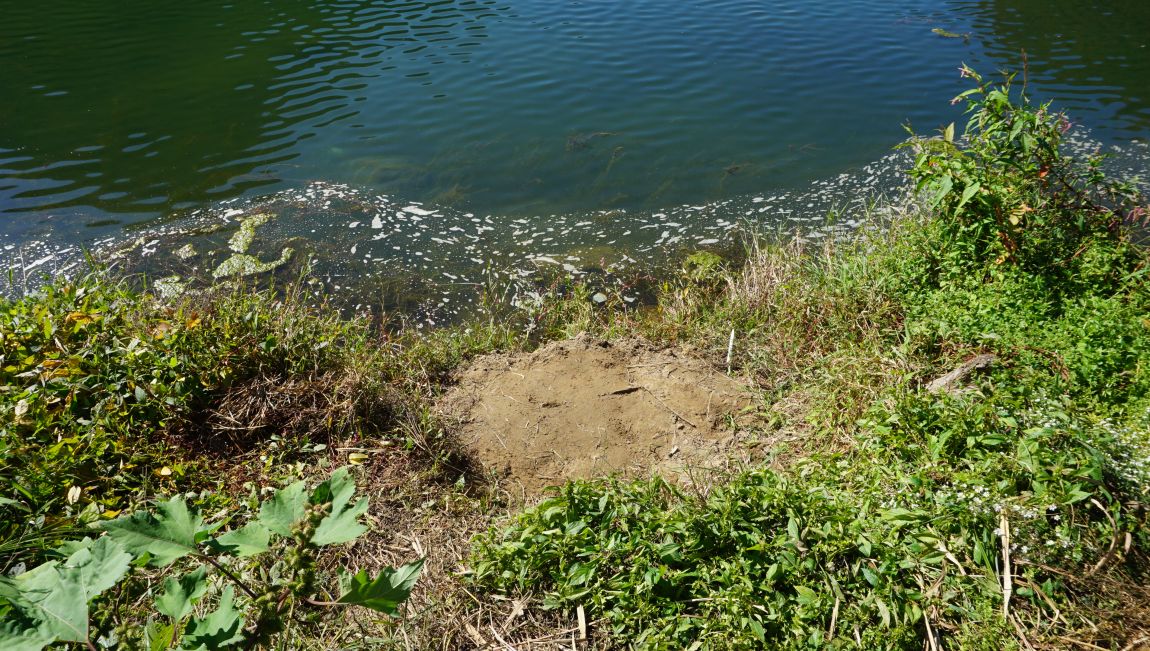 DSC00488.JPG
