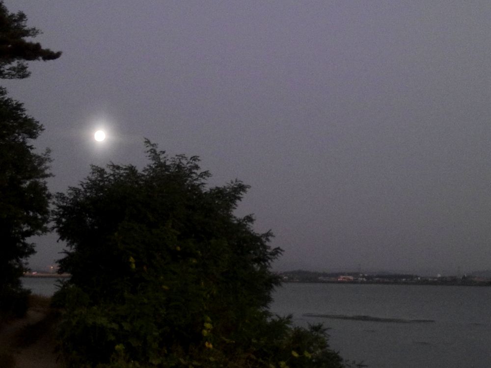 2015-09-27 18.38.jpg