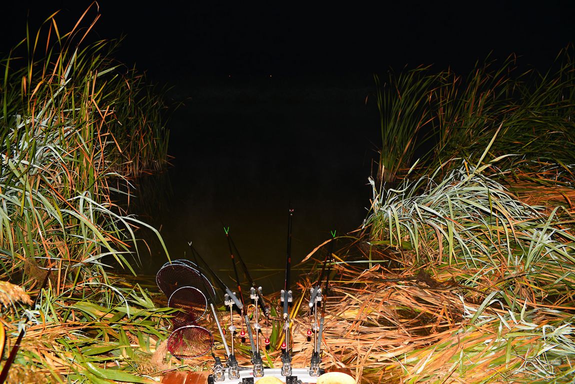 KJS_4807.jpg