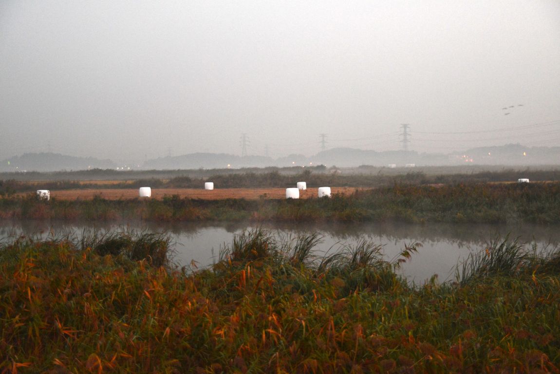 KJS_4817.jpg