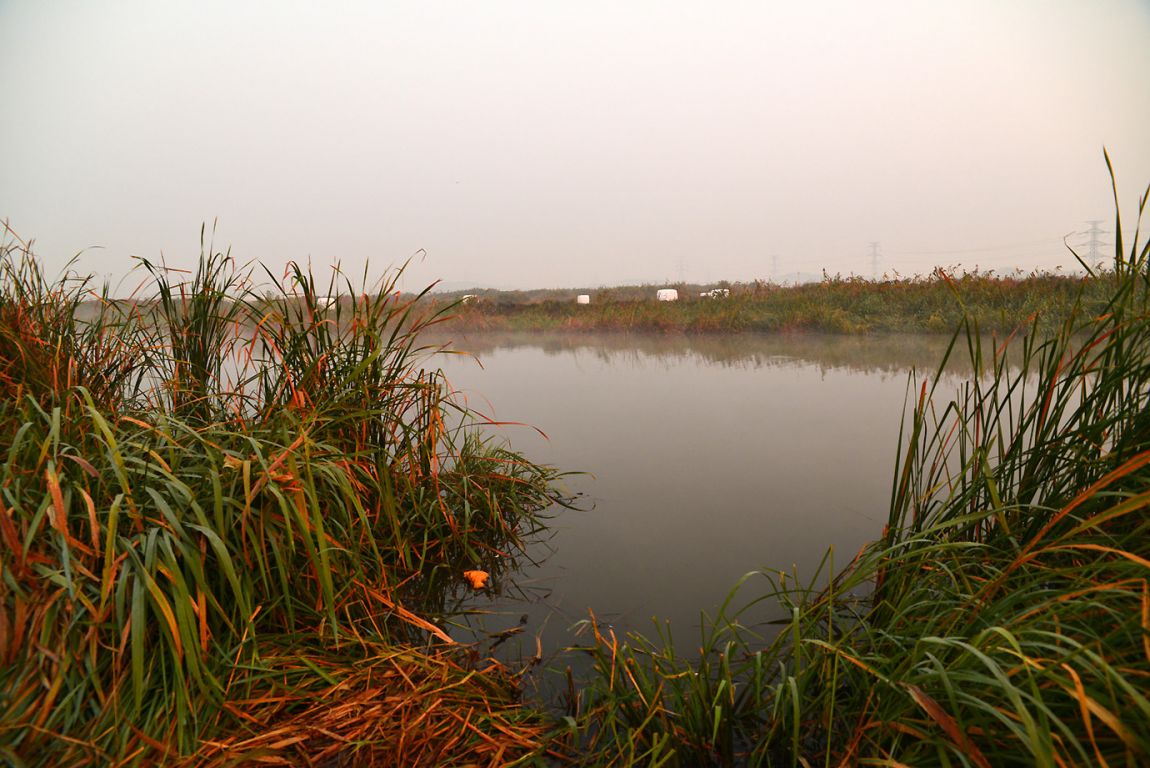 KJS_4826.jpg