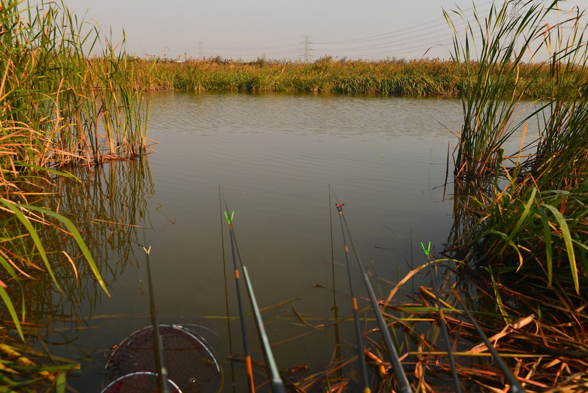 KJS_4839.jpg