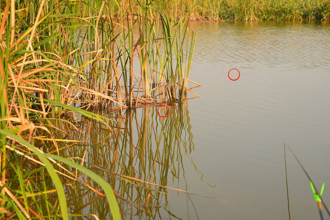 KJS_4840.jpg