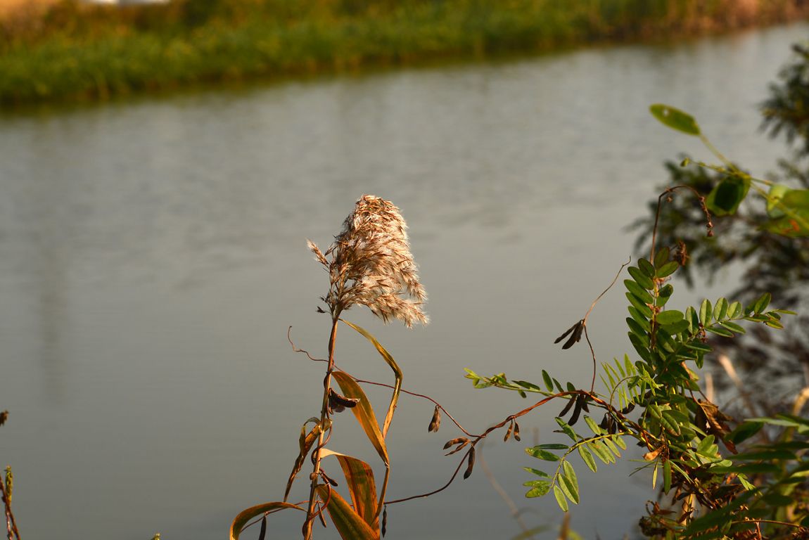 KJS_4842.jpg