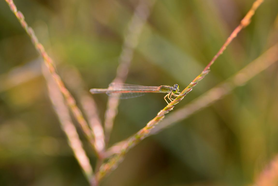 KJS_4848.jpg