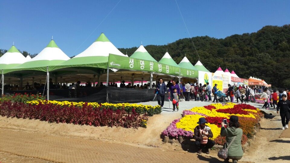 KakaoTalk_20151012_103246487.jpg