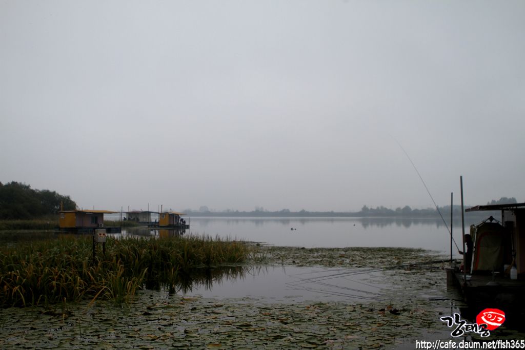IMG_1931.JPG