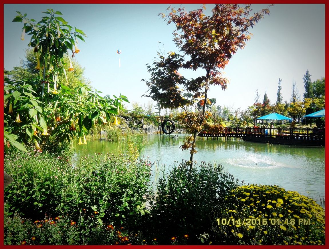 SDC17042.jpg