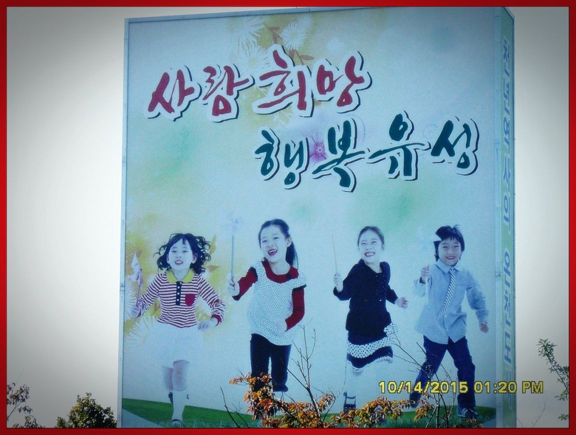 SDC17044.jpg