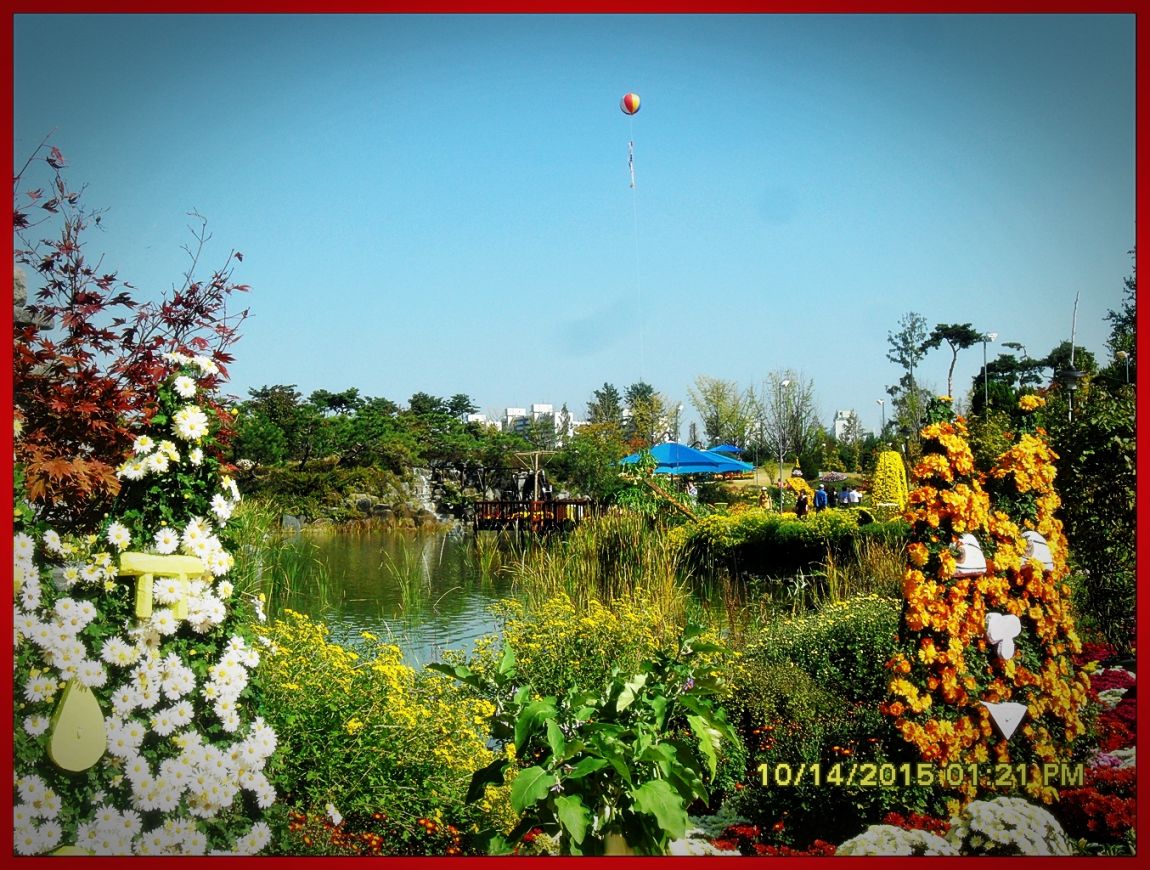 SDC17045.jpg