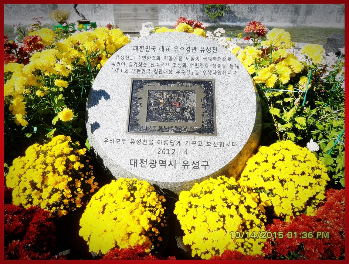 SDC17057.jpg