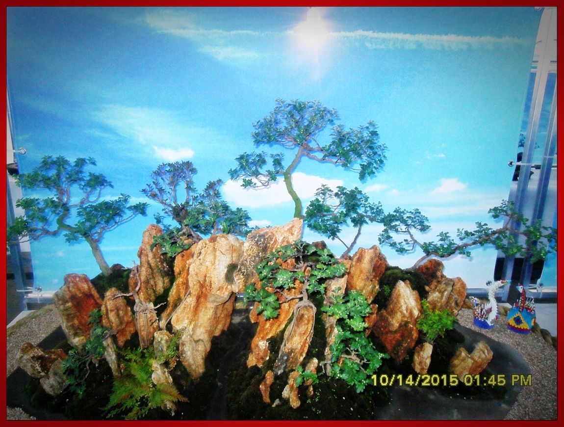 SDC17065.jpg