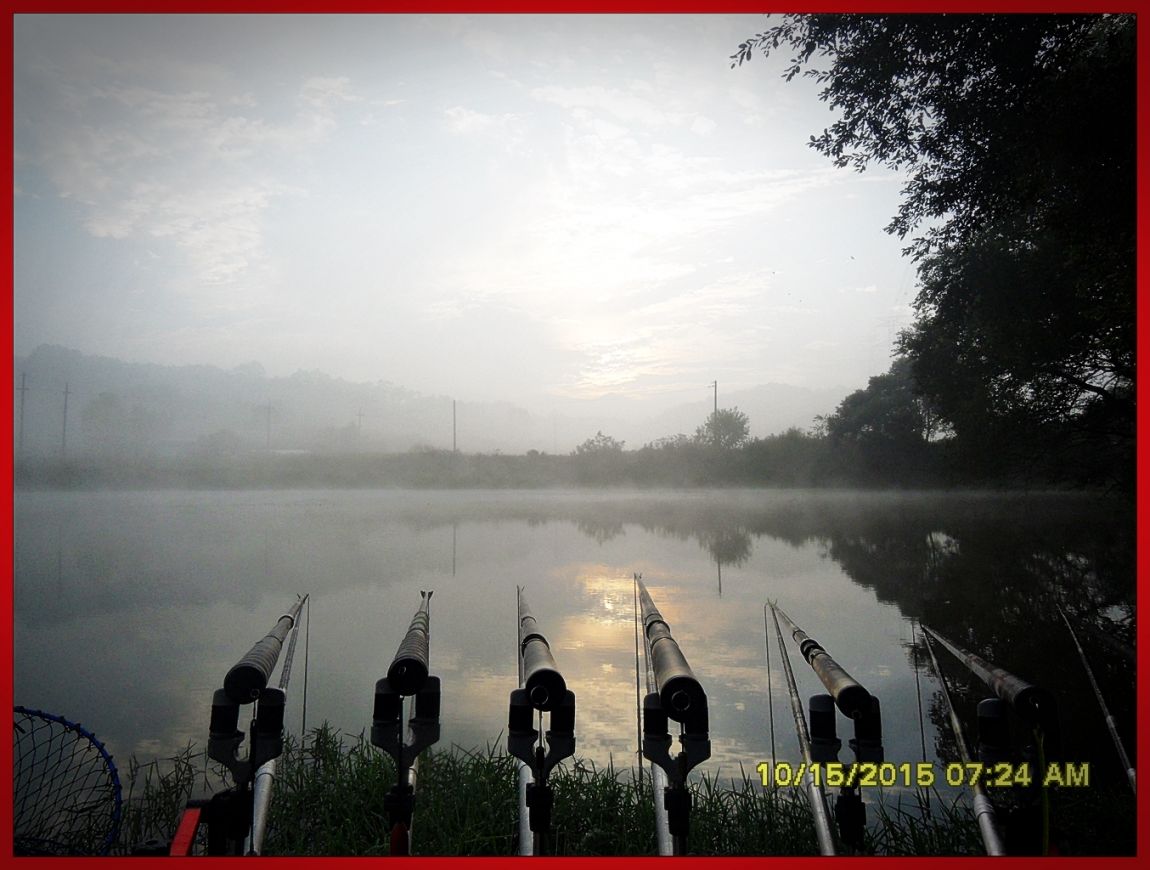 SDC17086.jpg