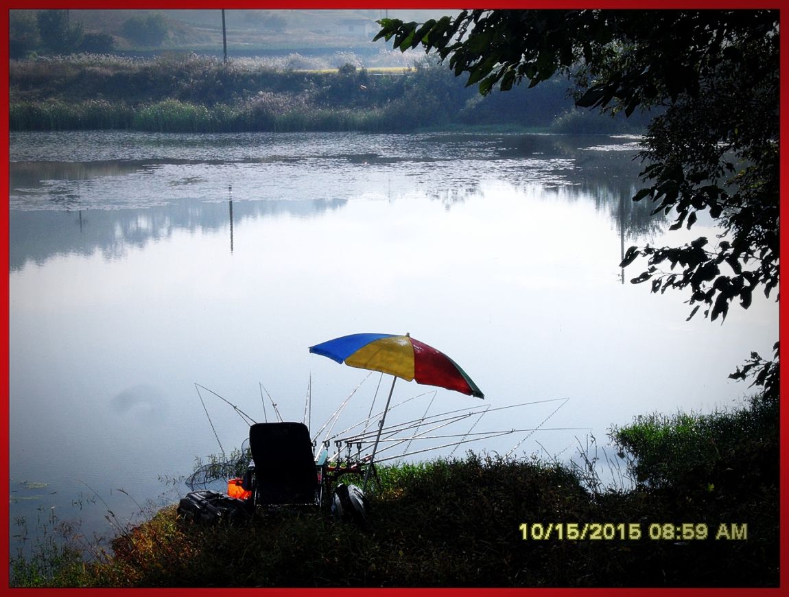SDC17092.jpg