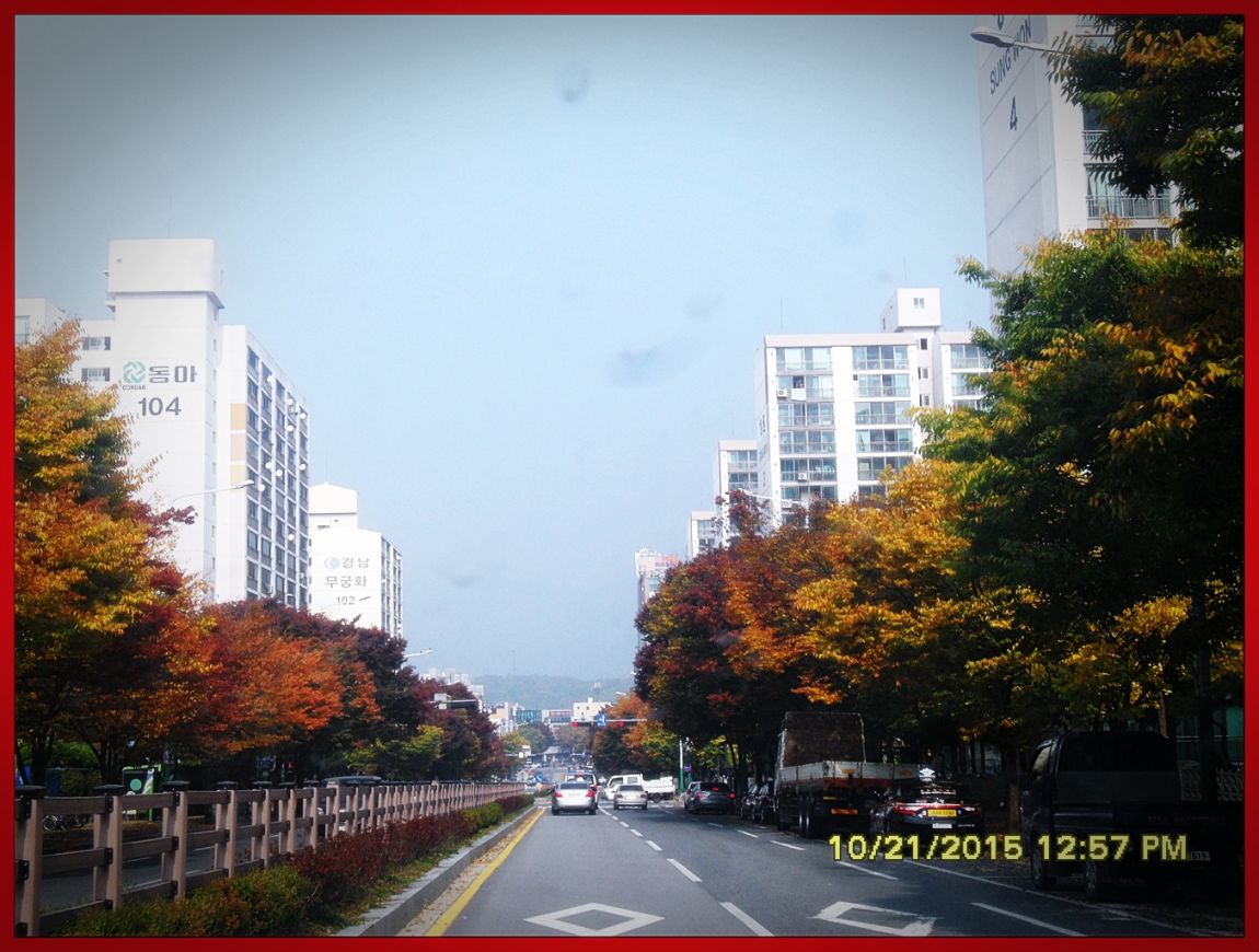 SDC17257.jpg