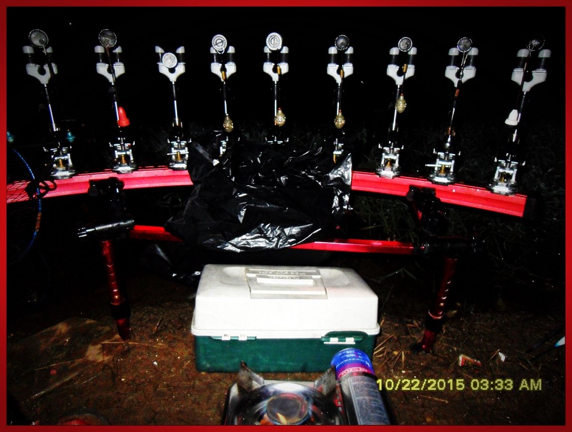 SDC17269.jpg