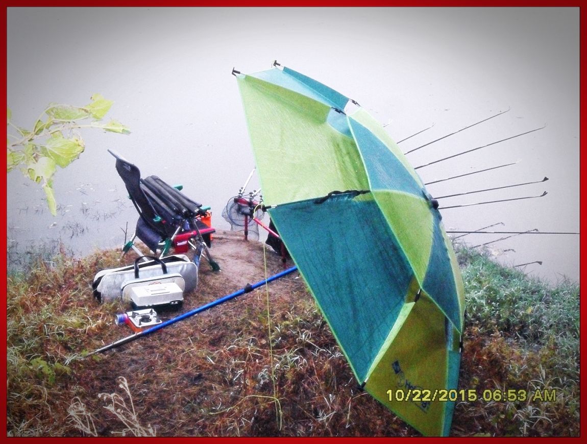 SDC17271.jpg